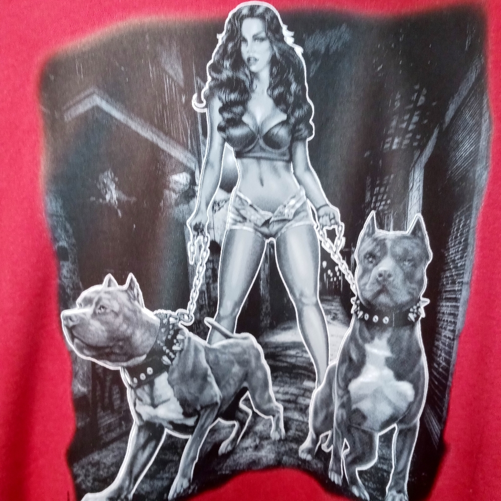 2xl Custom Champion hoodie.